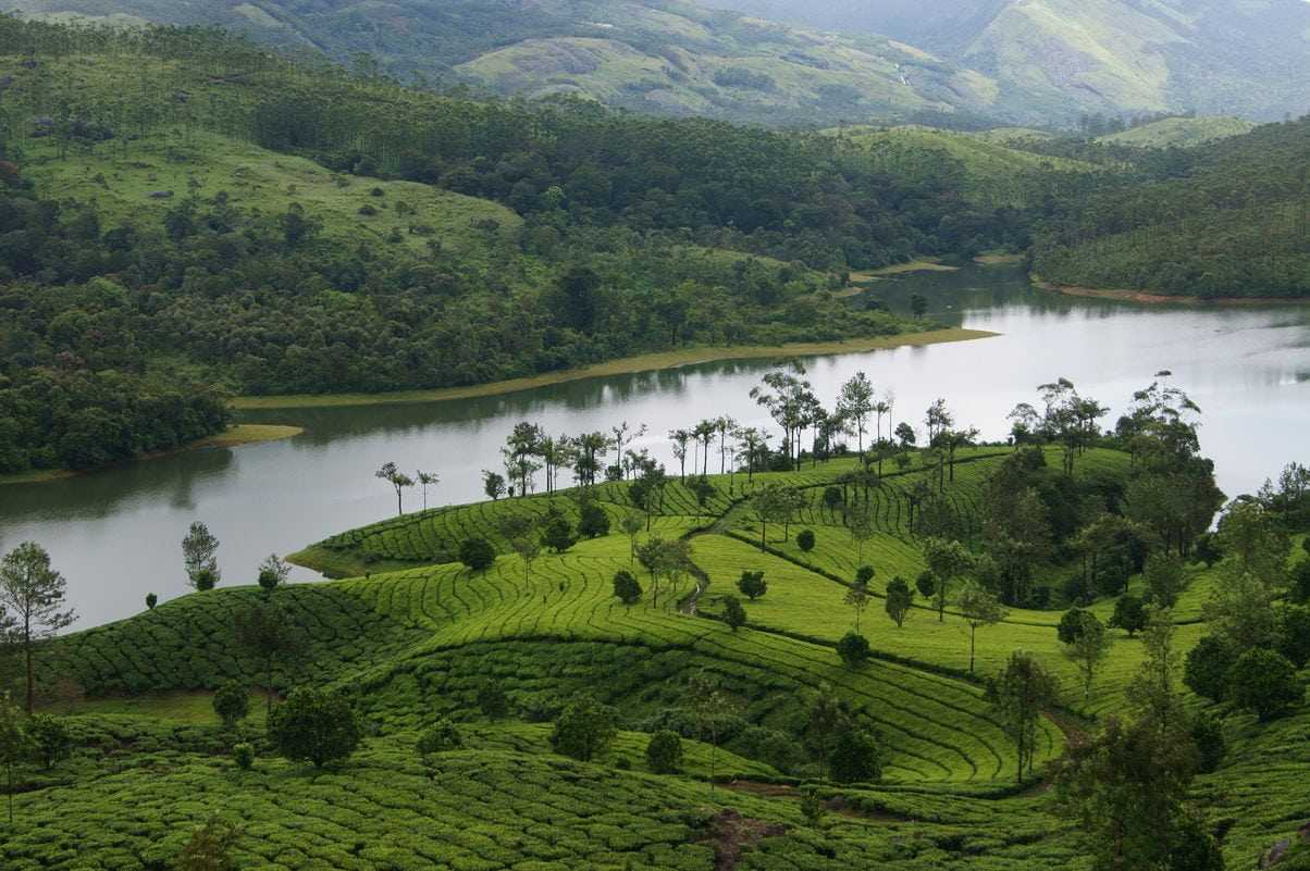 josh tours madurai to Munnar